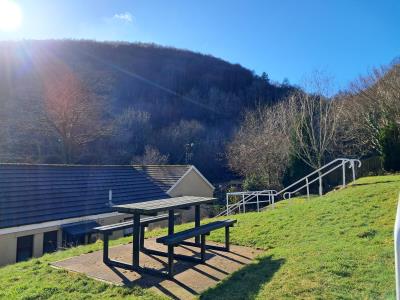 Bench View